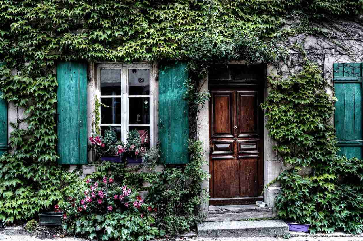 Ein schöner verwachsener Eingang mit einer Tür vom Schreiner Nürnberg. Schreiner Türen Nürnberg